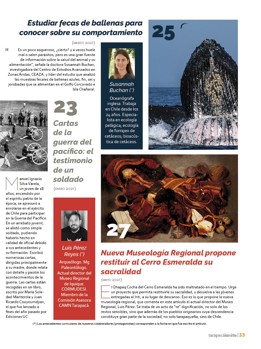 Revista Tarapacá Insitu ed50 - Página 33
