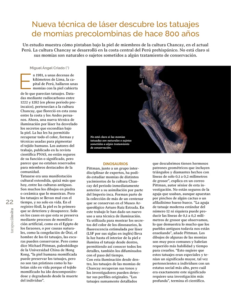 PAGINAS INSITU 71 MEDIA22