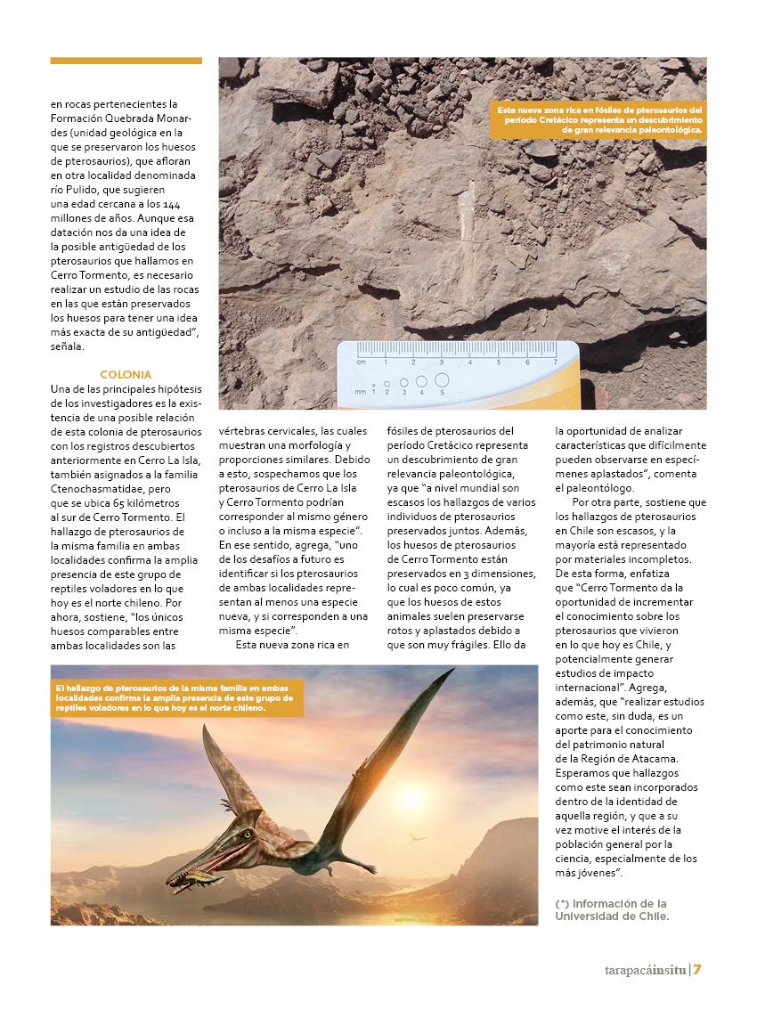 Revista Tarapacá Insitu ed49 - Página7