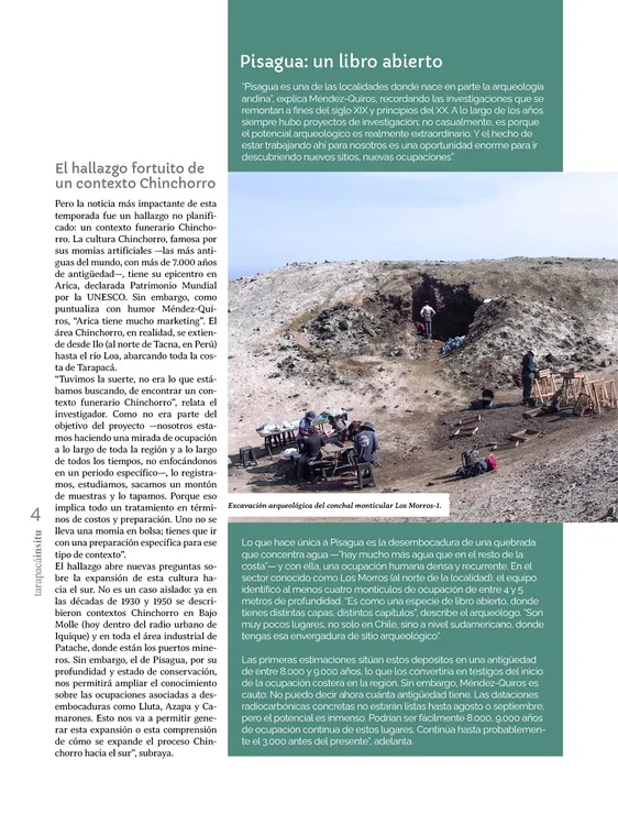 Tarapaca Insitu ed81_PNG4