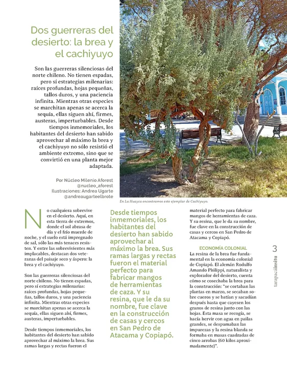 PAGINAS INSITU 74 MEDIA_Página_03