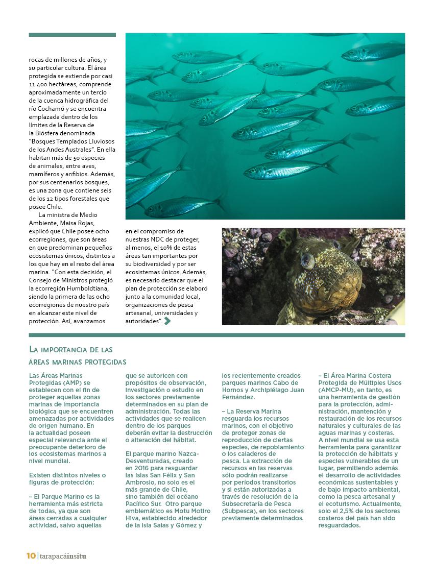 Revista Tarapacá Insitu Ed46 - Página 010