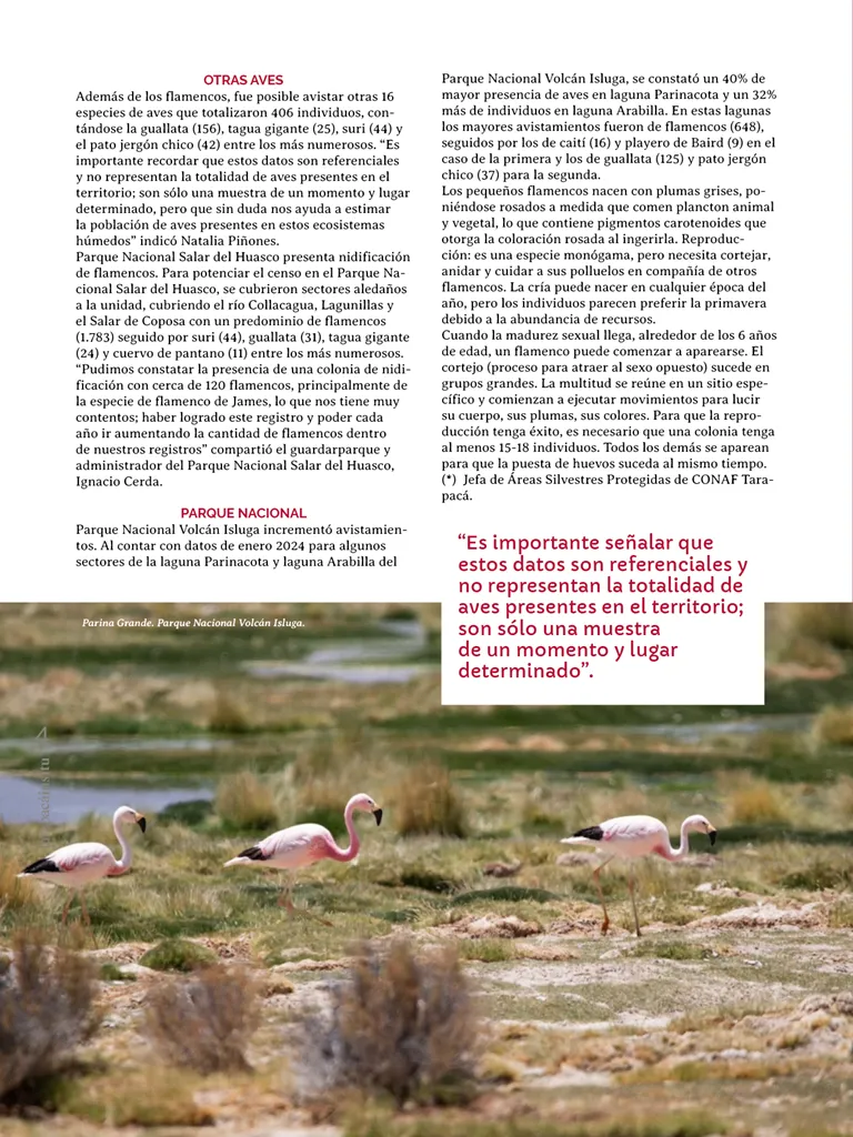 PAGINAS INSITU 71 MEDIA4