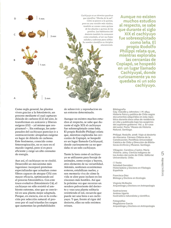 PAGINAS INSITU 74 MEDIA_Página_05