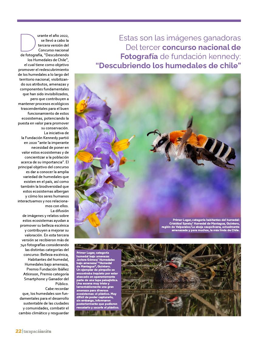 Revista Tarapacá Insitu Ed46 - Página 022