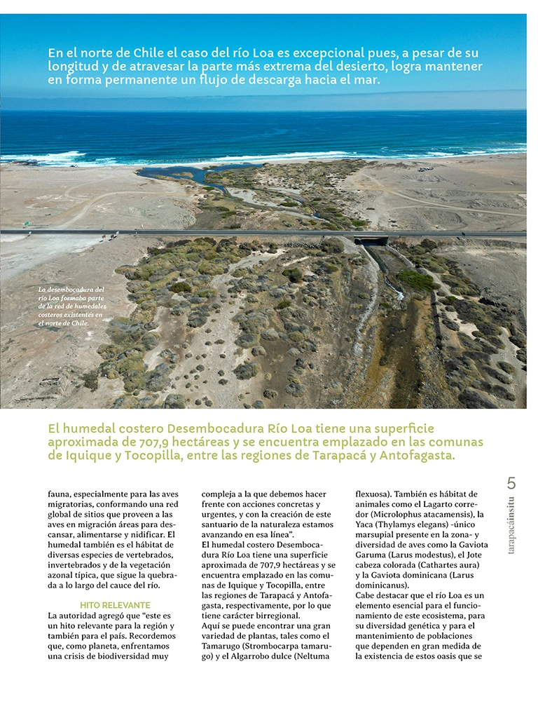 PAGINAS IN SITU 65 P5