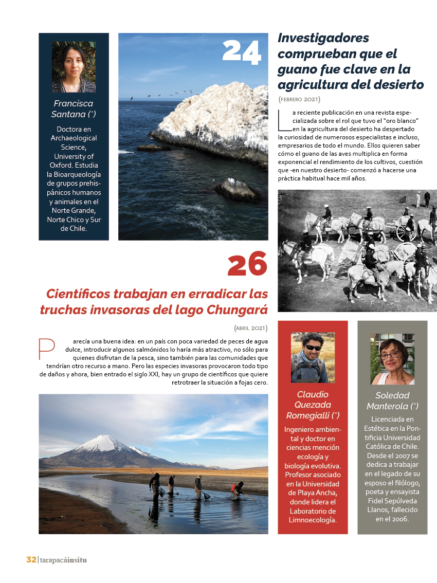 Revista Tarapacá Insitu ed50 - Página 32