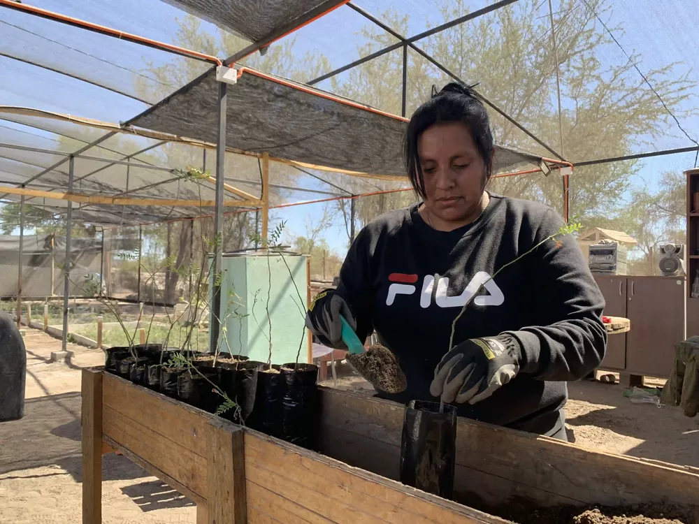 mujer viverista 1