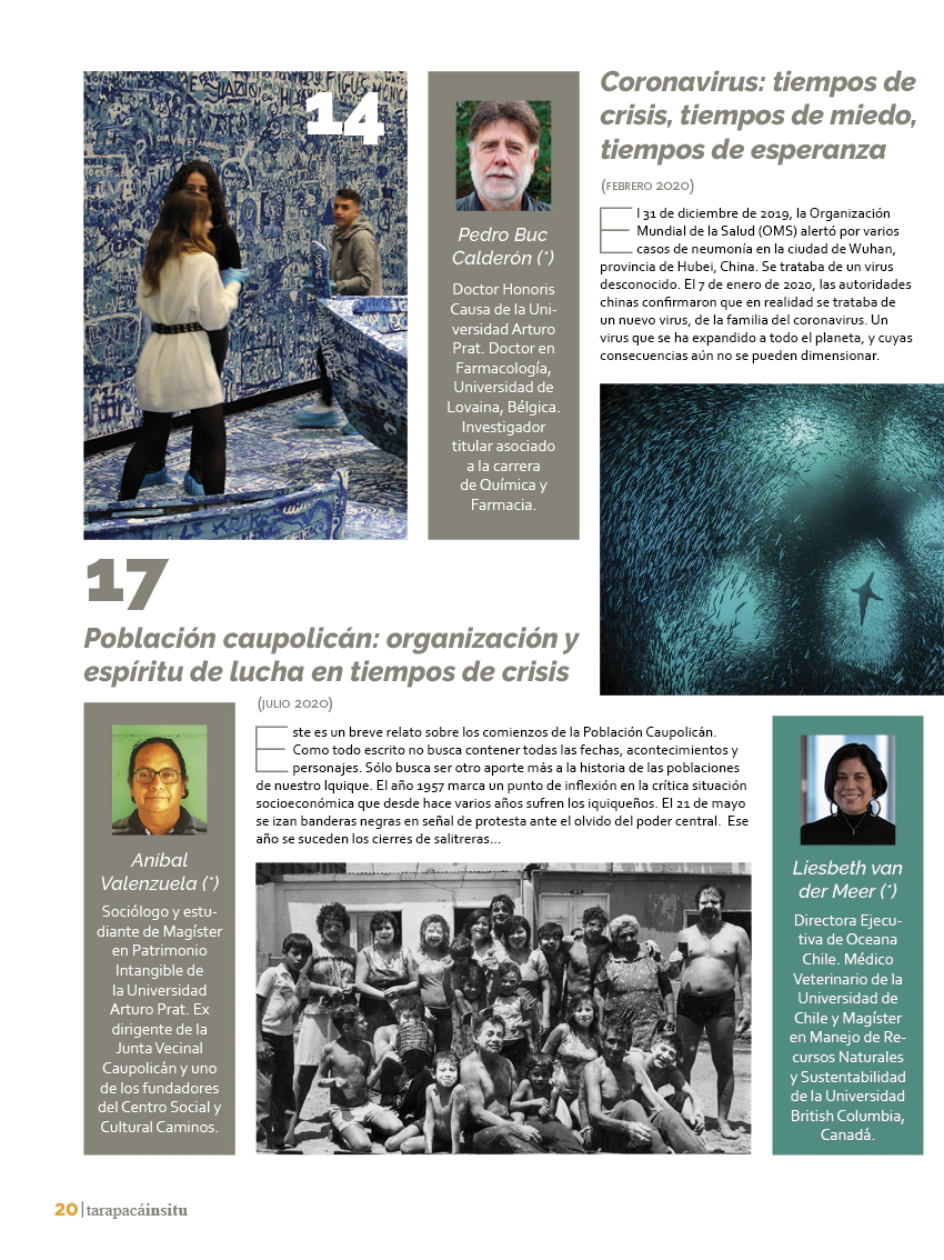 Revista Tarapacá Insitu ed50 - Página 20