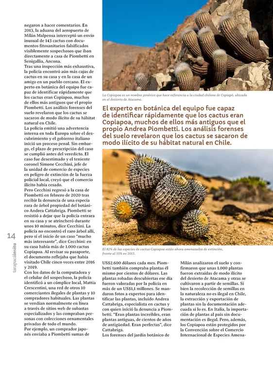 PAGINAS INSITU 72 PNG14
