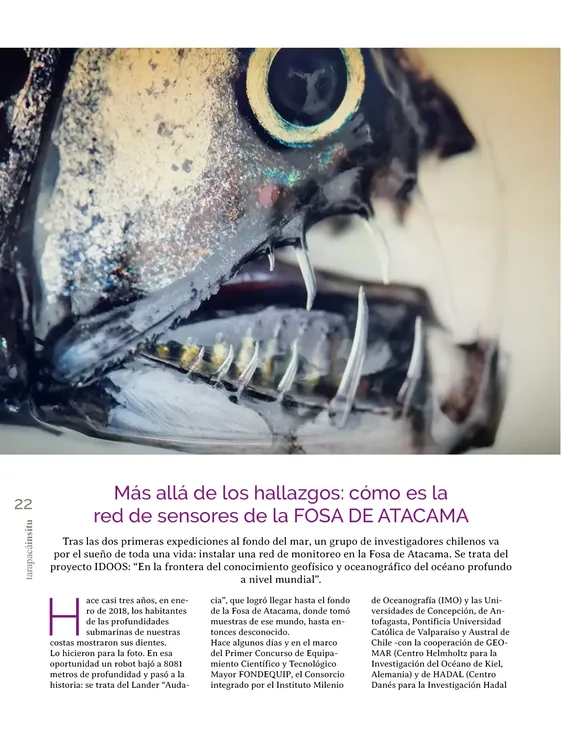 PAGINAS IN SITU 69 MEDIA22