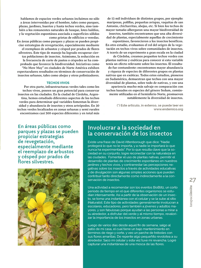 Revista Tarapacá Insitu ed 55 - Página 27