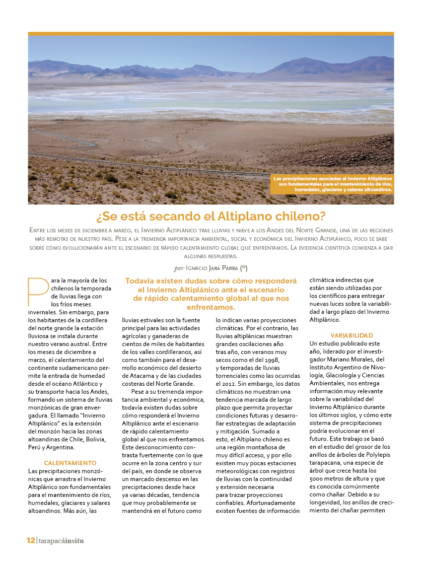 Revista Tarapacá Insitu ed50 - Página 12