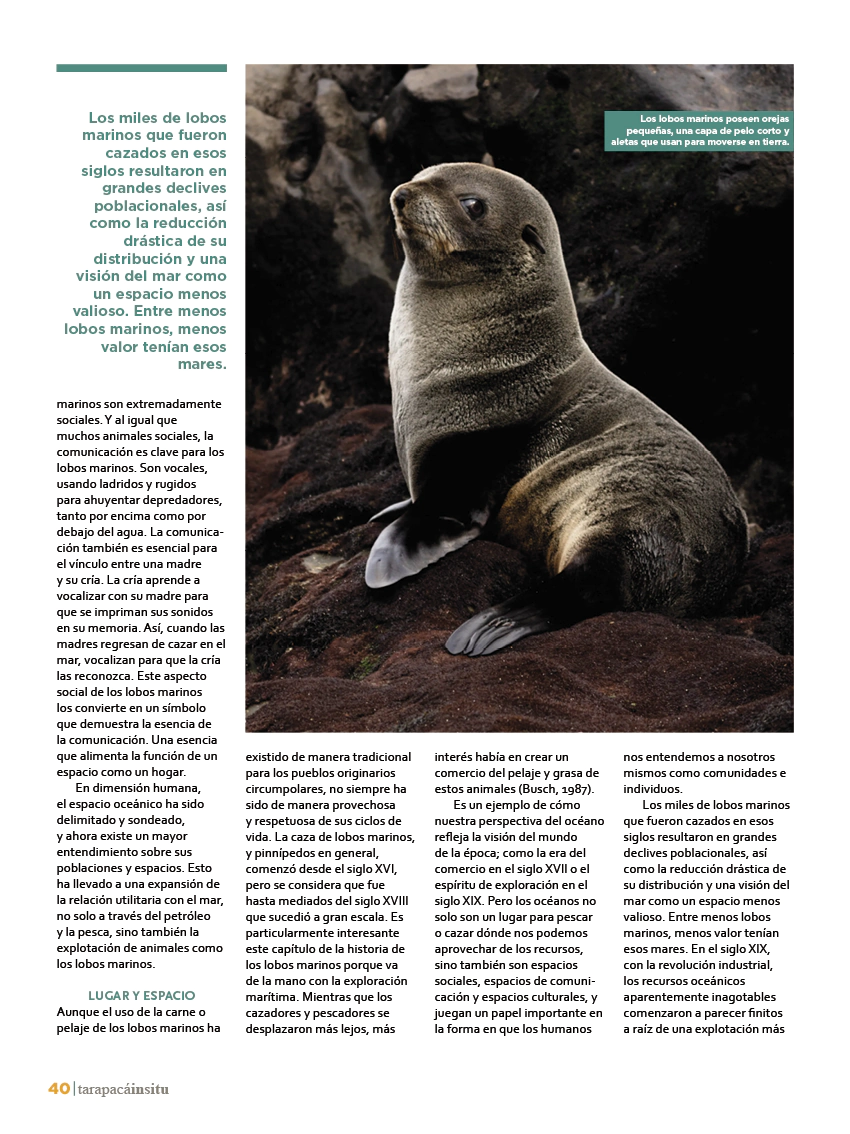 Revista Tarapacá Insitu ed50 - Página 40