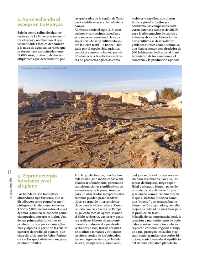 PAGINAS INSITU 78 PNG8