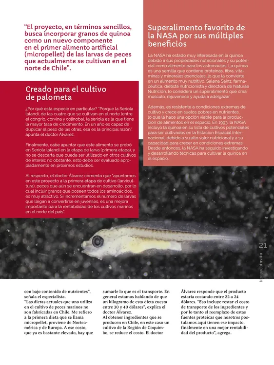 PAGINAS INSITU 72 PNG21