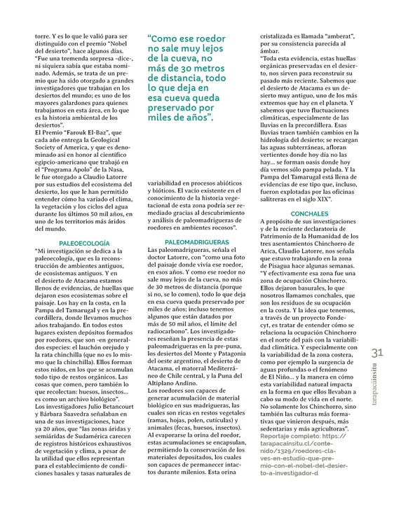 PAGINAS IN SITU 69 MEDIA31