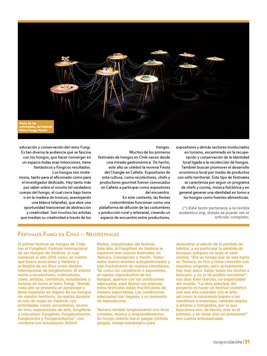 Revista Tarapacá Insitu Ed44 - Página31