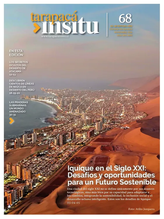 PAGINAS IN SITU 68 MEDIA