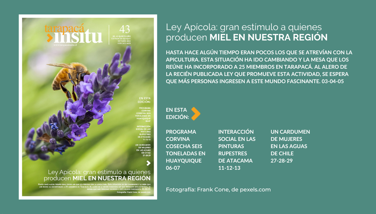 Portada Horizontal Final
