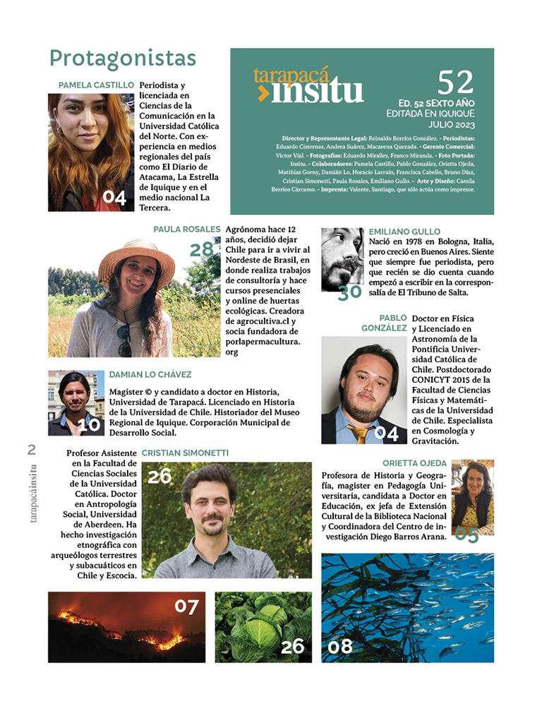 Revista Tarapacá Insitu ed52 - Página 2