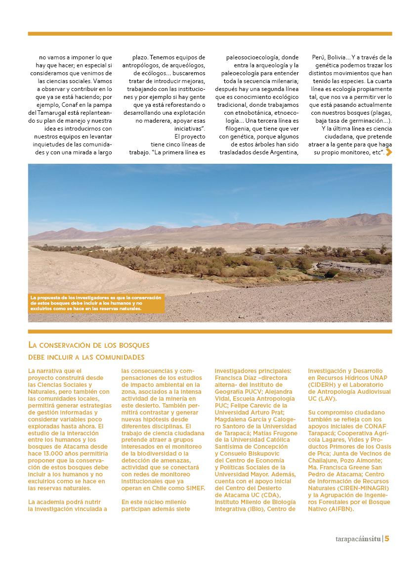 Revista Tarapacá Insitu ed45 - Página5