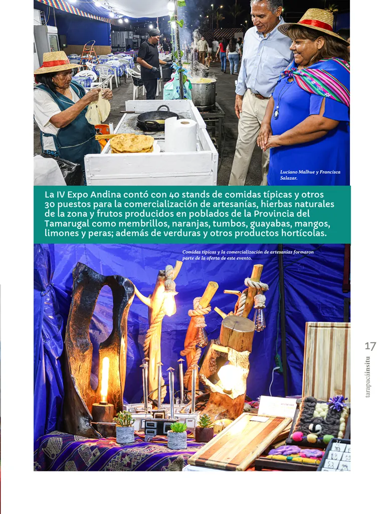 PAGINAS INSITU 71 MEDIA17