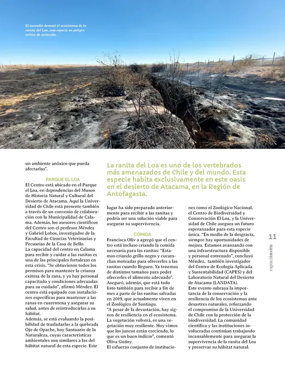 PAGINAS IN SITU 64 MEDIA11