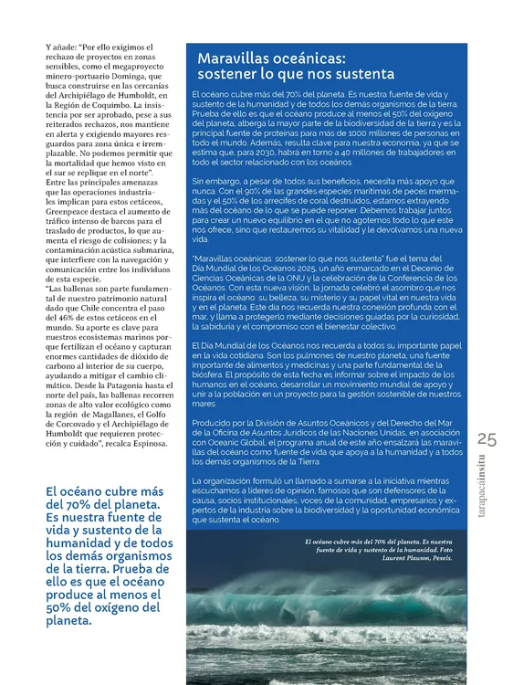 PAGINAS INSITU 74 MEDIA_Página_25