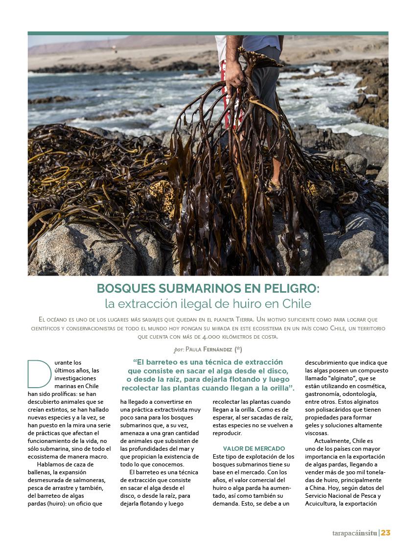 Revista Tarapacá Insitu ed49 - Página23