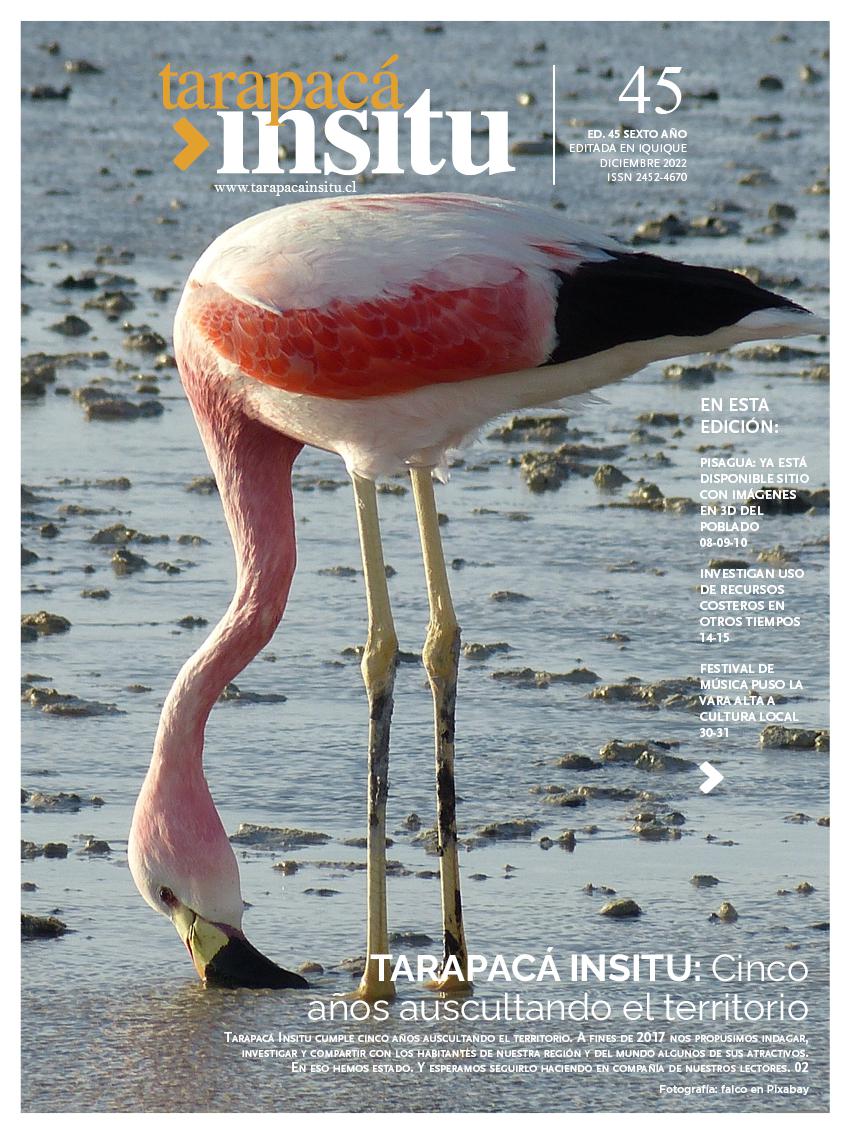 Revista Tarapacá Insitu ed45 - Página