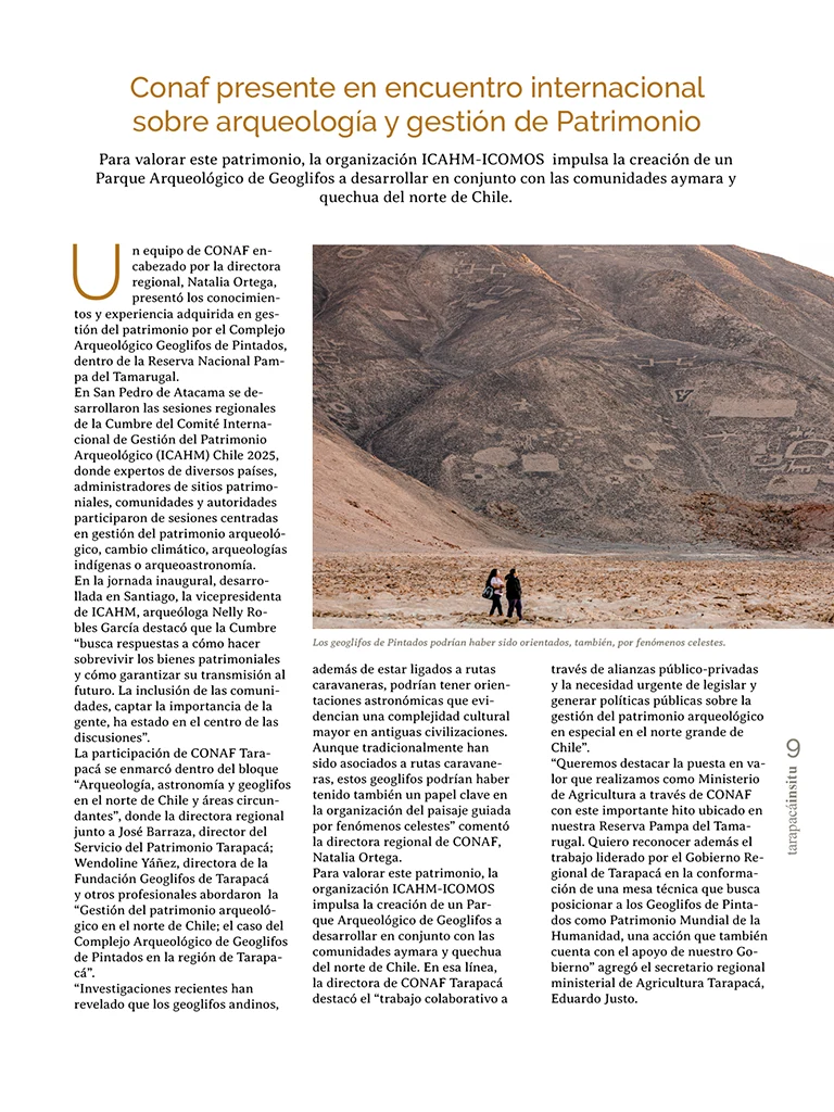 PAGINAS INSITU 73 MEDIA9