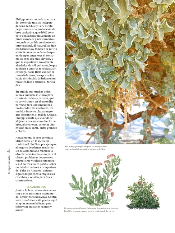 PAGINAS INSITU 74 MEDIA_Página_04