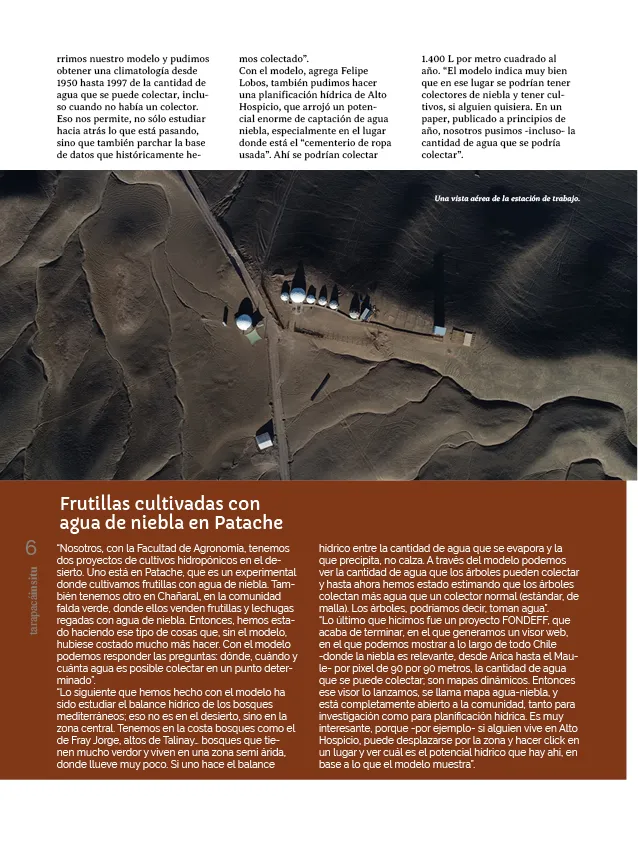 PAGINAS INSITU 78 PNG6