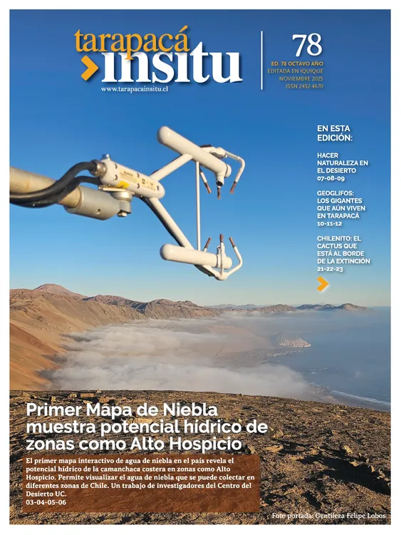 PAGINAS INSITU 78N_Página_01