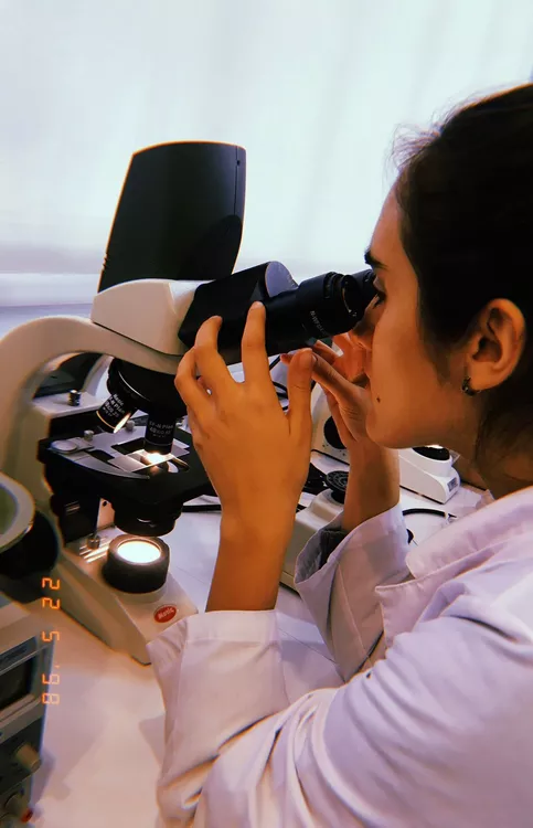 ostión biomaterial 1