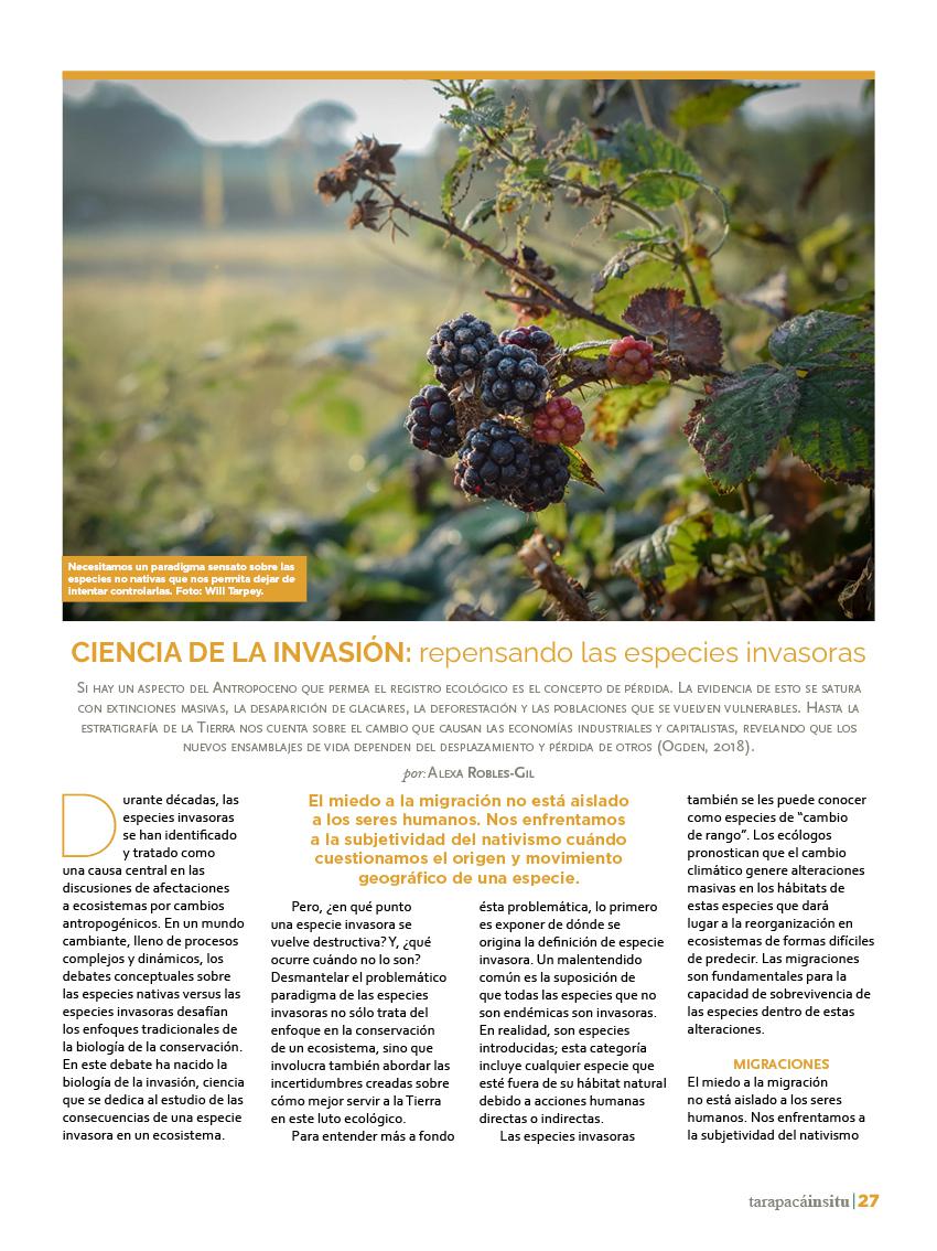 Revista Tarapacá Insitu ed45 - Página27