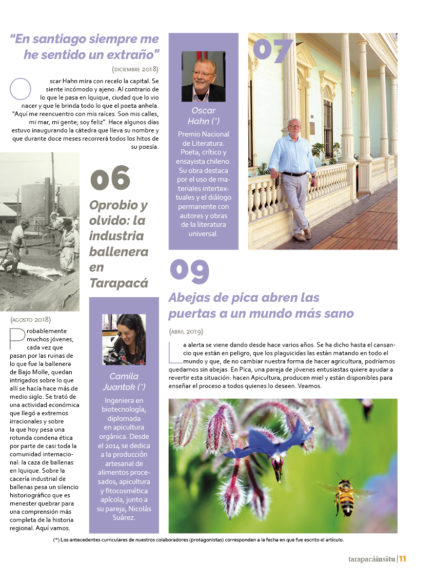 Revista Tarapacá Insitu ed50 - Página 11