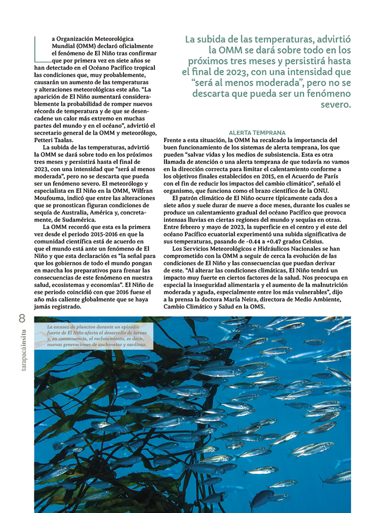 Revista Tarapacá Insitu ed52 - Página 8