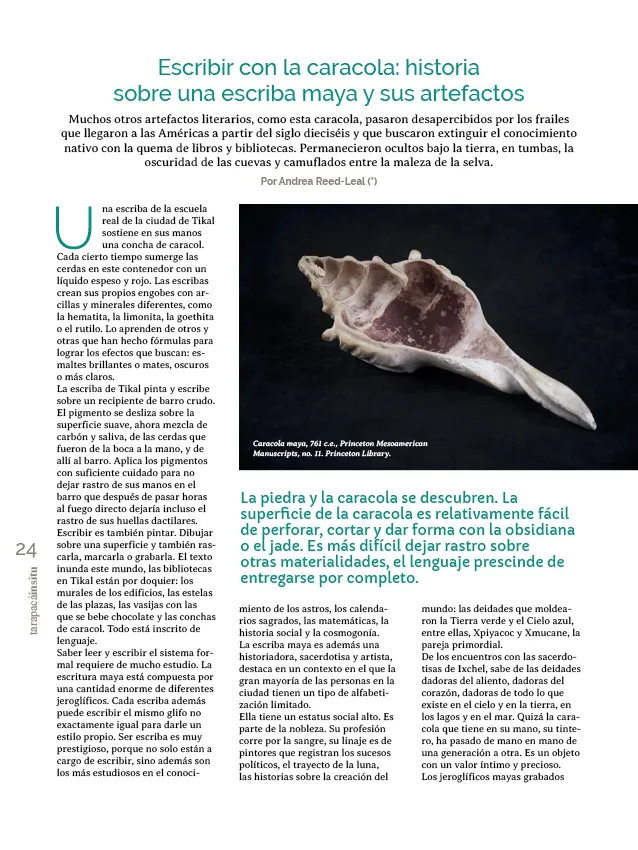 PAGINAS INSITU 78 PNG24