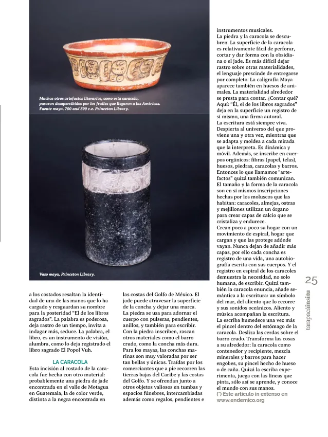 PAGINAS INSITU 78 PNG25