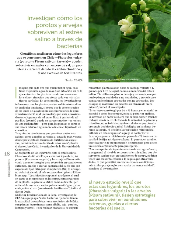 PAGINAS INSITU 74 MEDIA_Página_18