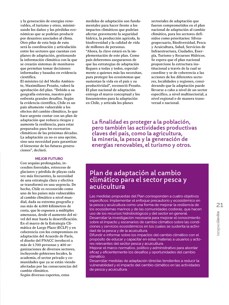 PAGINAS INSITU 71 MEDIA21