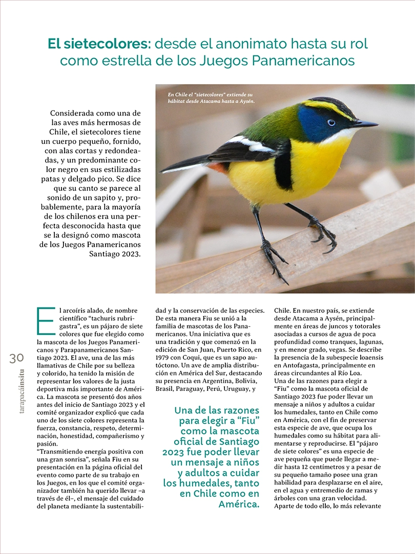 Revista Tarapacá Insitu ed 55 - Página 30
