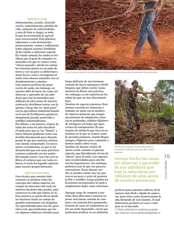 PAGINAS IN SITU 59 MEDIA19