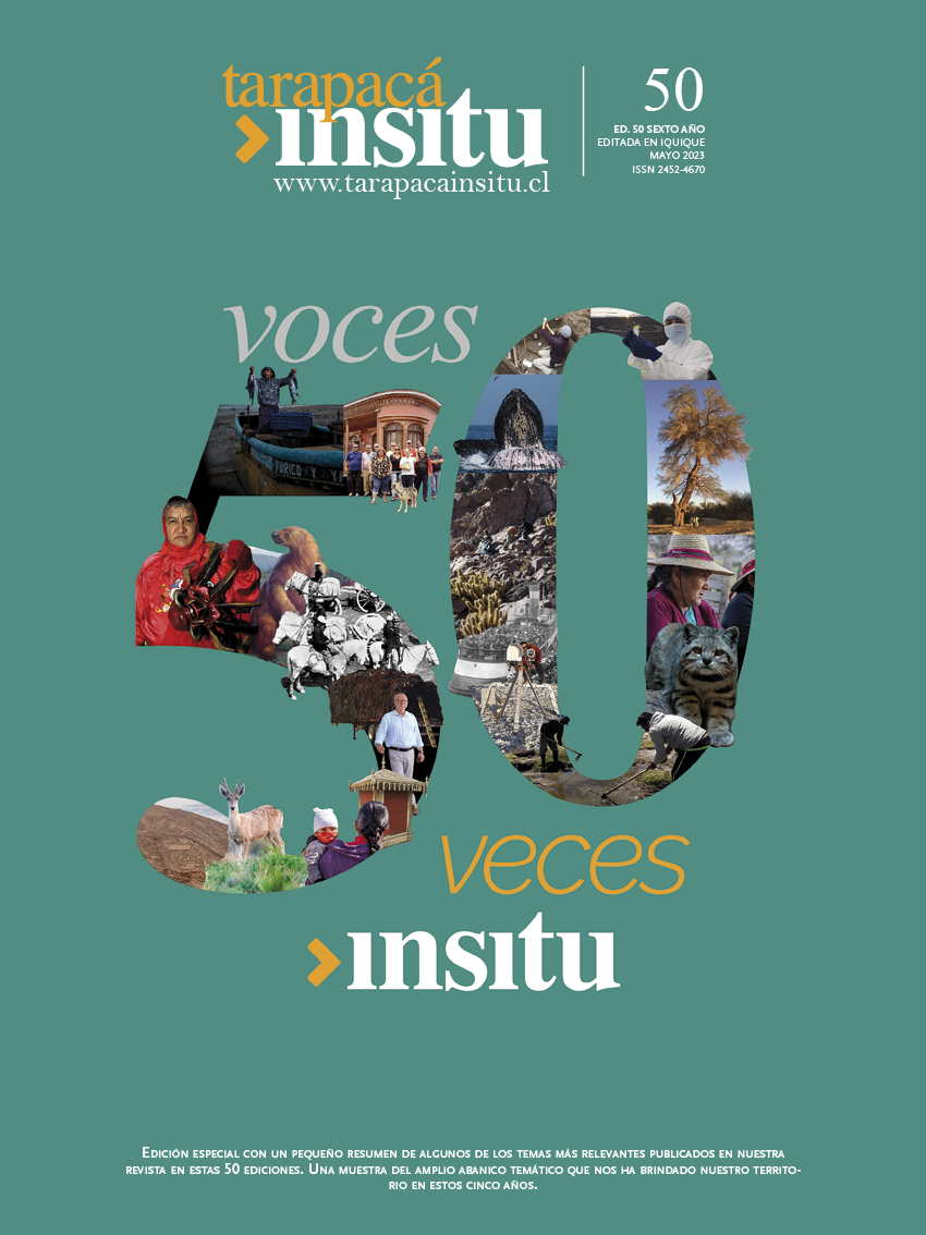 Revista Tarapacá Insitu ed50 - Página 1