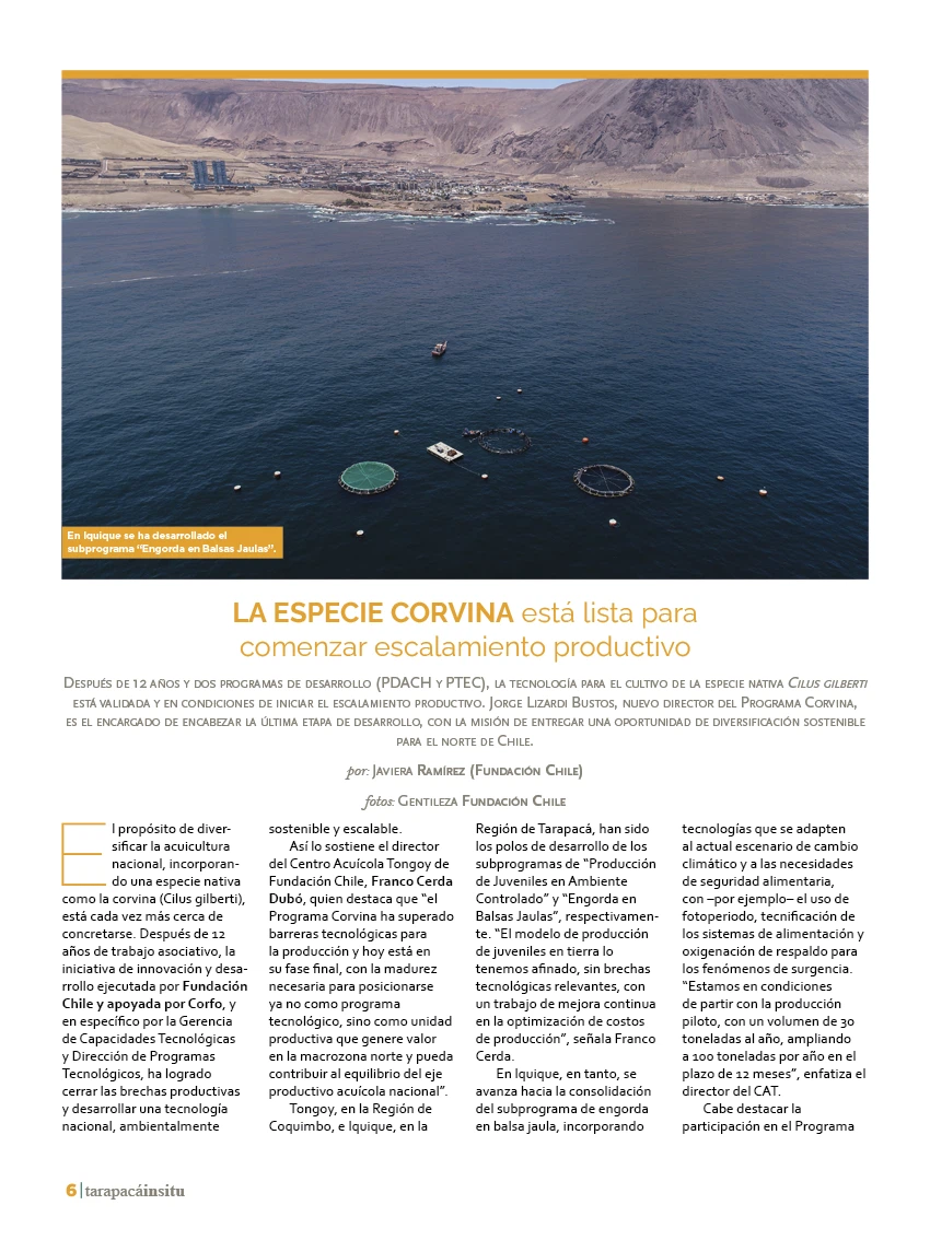 Revista Tarapacá Insitu Edición 38 - P6