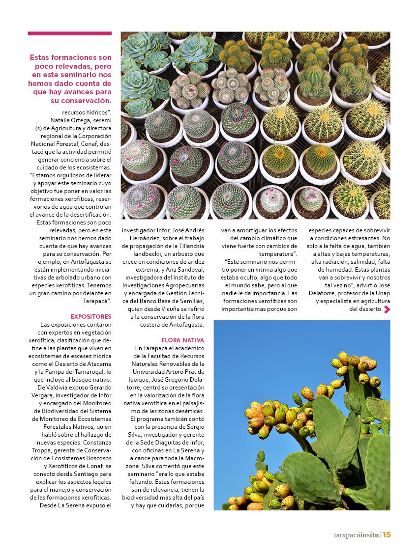 Revista Tarapacá Insitu Ed44 - Página15