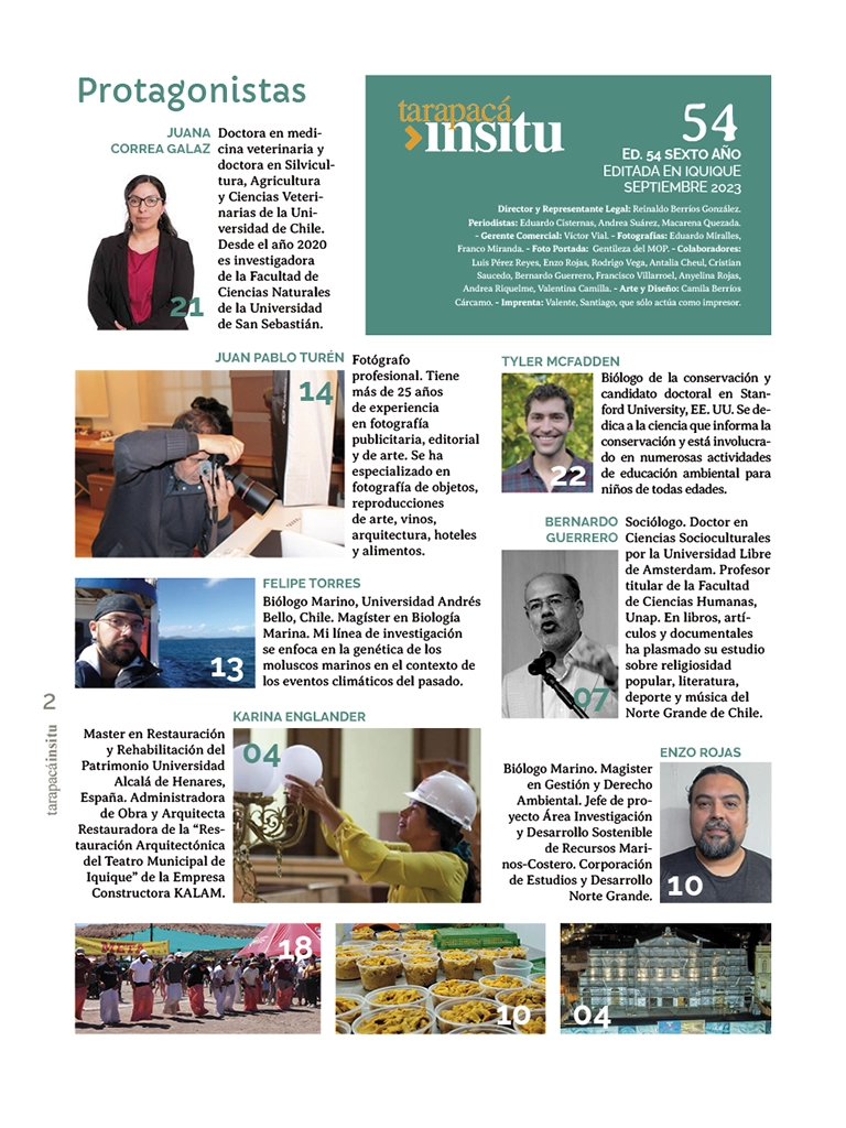 Revista Tarapacá Insitu ed54 - Página2