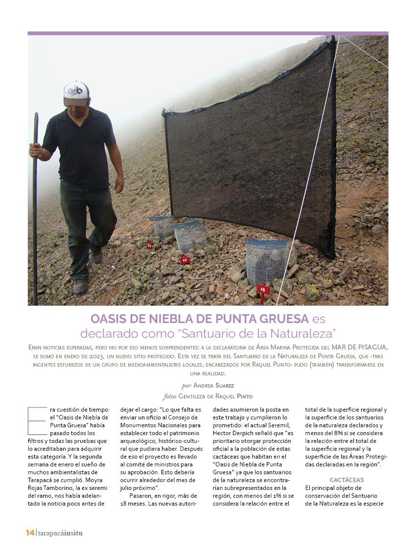 Revista Tarapacá Insitu Ed46 - Página 014